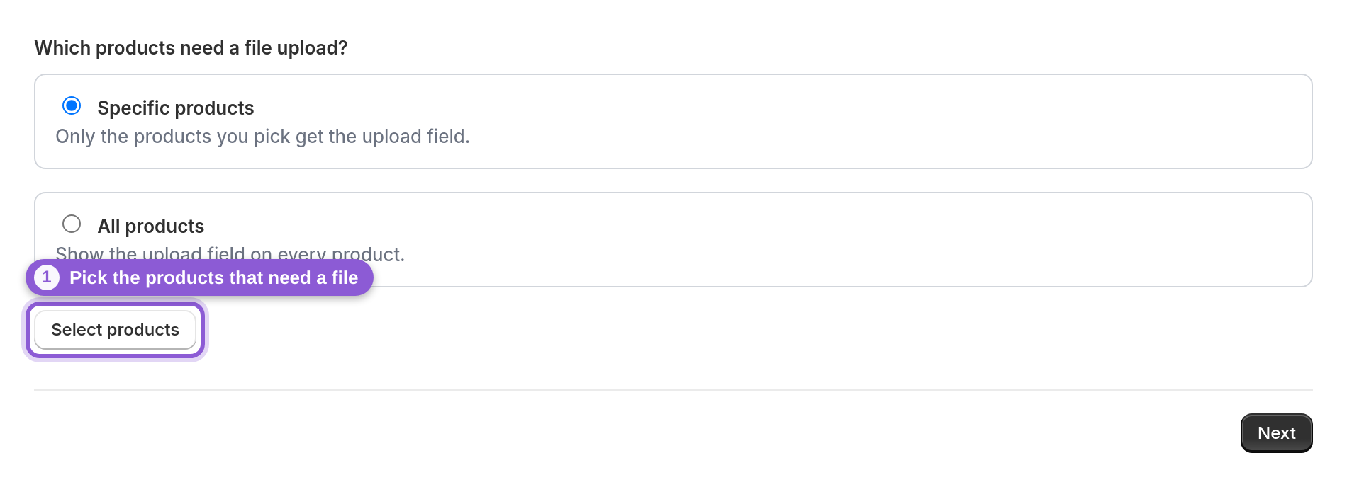 Choose storage and which products in the quick wizard — .wizard-opt highlighted